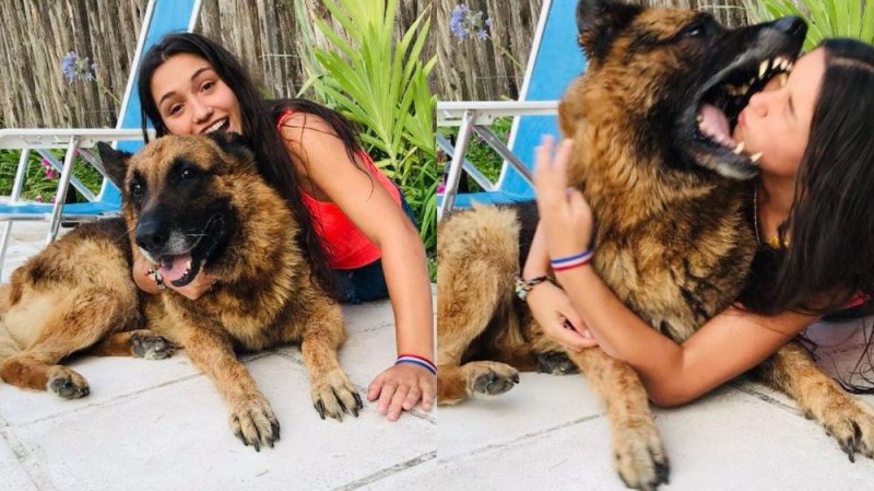 Joven hace sesión de fotos con su perro y todo sale mal; termina con la cara DESFIGURADA