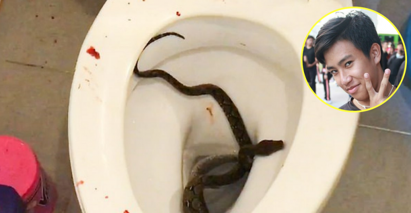 Serpiente muerde en los genitales a joven mientras estaba sentado en el inodoro