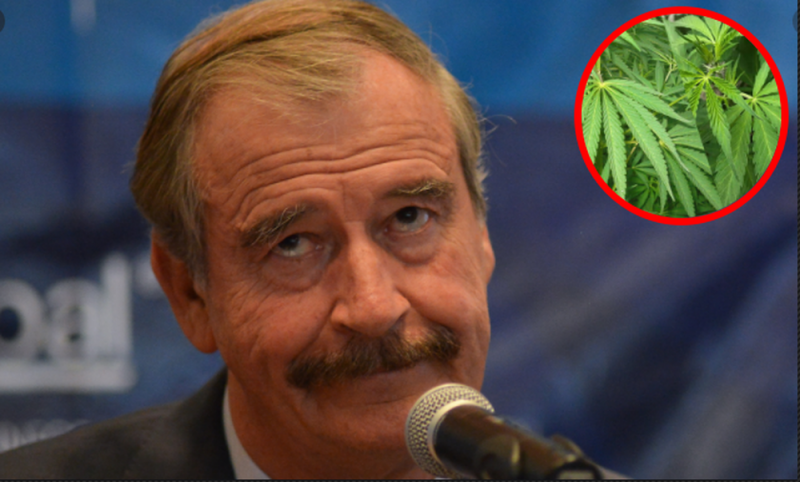 Vicente Fox se asocia con empresa que distribuirá PRODUCTOS de mariguana en destinos TURÍSTICOS