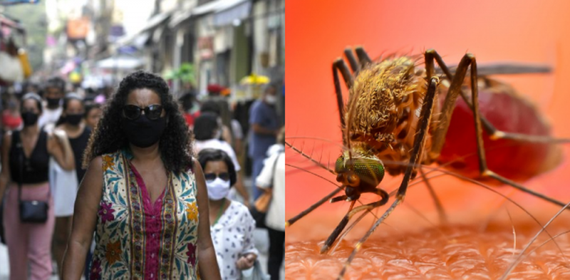 Revelan que DENGUE podría proporcionar inmunidad contra el coronavirus