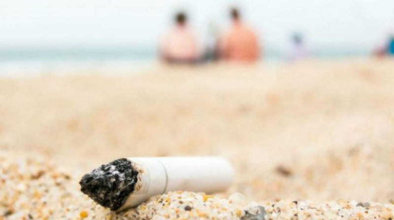 Prohibido fumar en playas de México; la nueva propuesta de los DIPUTADOS de Morena 