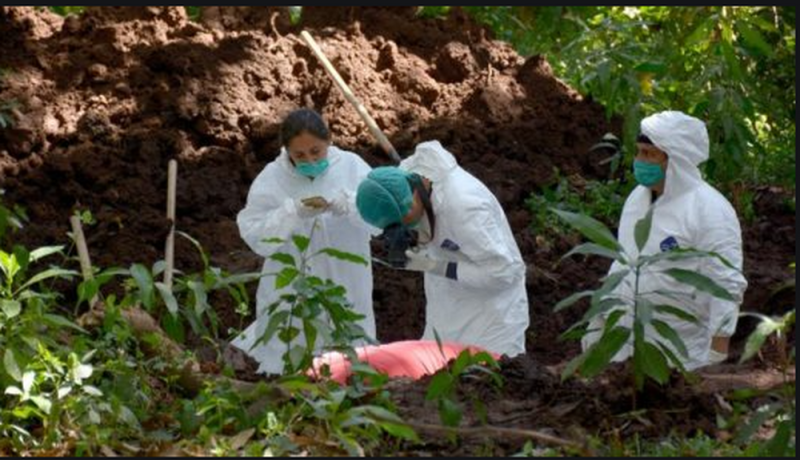 El TERROR en Jalisco; autoridades encuentran más de 100 cuerpos en fosas clandestinas