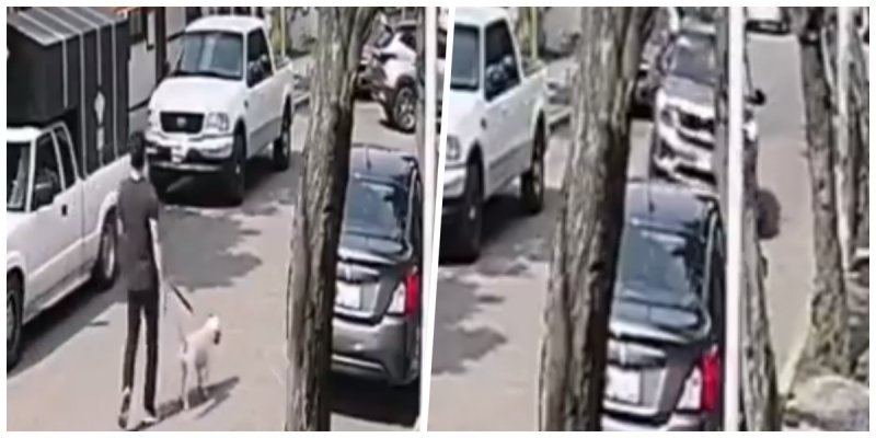 Captan momento justo cuando camioneta ATROPELLA a joven que paseaba a su perro (VIDEO)