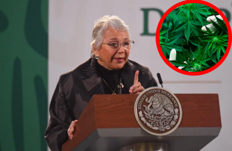 Sánchez Cordero llama a regulación de marihuana 