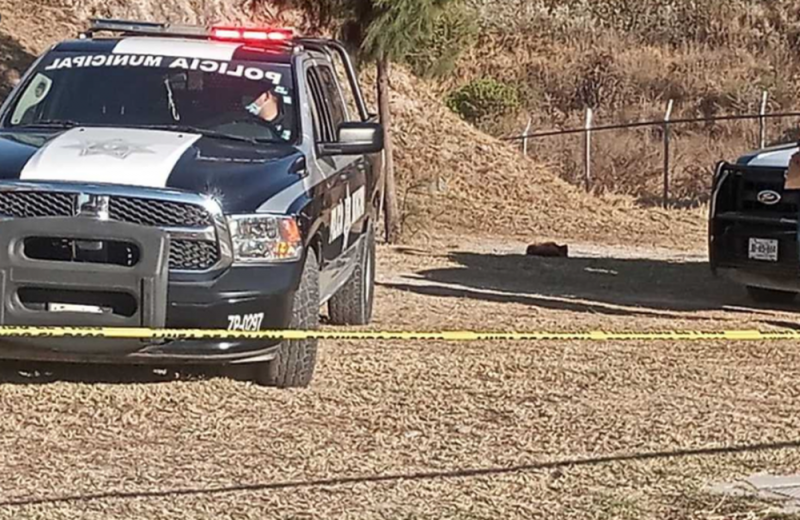 Encuentran 18 bolsas con restos humanos en predio cercano al Estadio AKRON en Zapopan