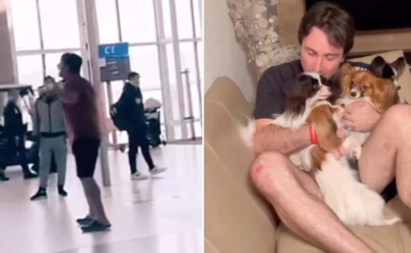 Encuentran a perritos extraviados en aeropuerto tras llanto viral de su dueñoy