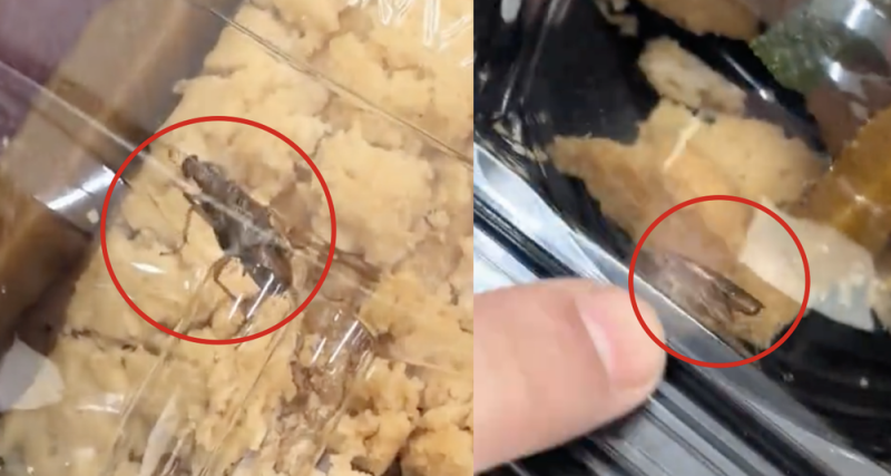 Jóvenes encuentran una cucaracha dentro de una rosca en Sorianay