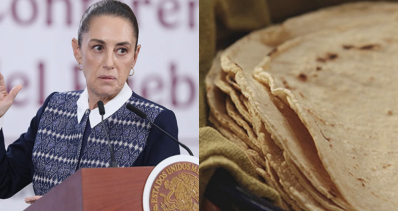 No hay razón para el aumento del precio de la tortilla: Sheinbaum