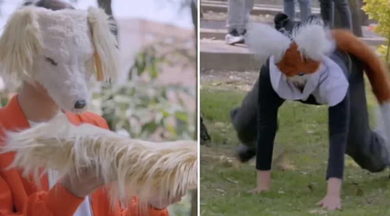 El capítulo de los Therians de la Rosa de Guadalupe, ya está disponible