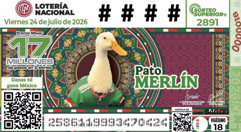  Lotería Nacional saca billete del pato Merlín; conoce cuándo es el sorteo
