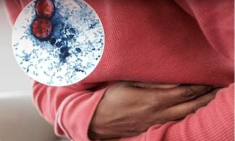 publicaciones/¿Qué es la diarrea explosiva que podría llegar a México por el Cyclospora Cayetanensis?