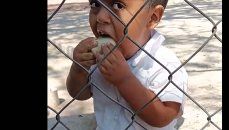 ¡El amor de mamá! Niño disfruta de sus taquitos que le llevaron a la hora del recreo