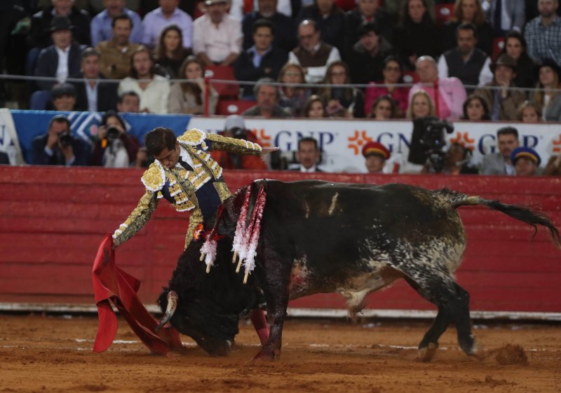 Cerca de prohibirse las CORRIDAS DE TOROS en este municipio