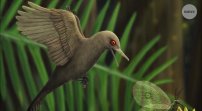 Descubren a dinosaurio del tamaño de un colibrí y con ojos de serpiente. 