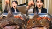 VIDEO: Indigna mujer asiática cocinando a un pez vivo 