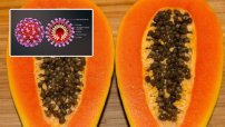 ¿Es cierto que una PAPAYA salió POSITIVO de CORONAVIRUS? Esto es lo que dice la OMS