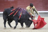 Diputados plantean prohibir corridas de toros en todo el país.