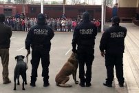 Ahora se indignan porque llevan perros a realizar operativo “Mochila Segura” en Torreón. 