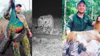 Exhiben en redes a grupo que realiza tours para cazar en selva de Campeche