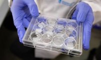 Científicos descubren proteína capaz de destruir las células cancerígenas en 48 horas