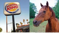 Burguer King termina aceptando que utiliza carne de caballo para sus hamburguesas.