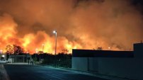 Incendio en manglar de Campeche causa desastre ecológico en biosfera Los Petenes