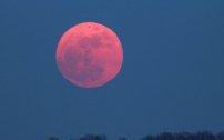 Te explicamos qué día y por qué habrá luna llena rosa esta Semana Santa