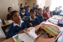 100 niños terminan en el hospital por comer pastel echado a perder en festejo del día del niño