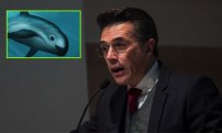 Sergio Mayer inventa nueva especie 