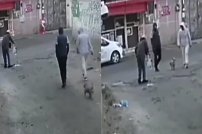 Indigna asalto a persona de la tercera edad que iba en andadera en Tlalpan (VIDEO)