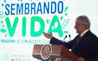 AMLO se traslada a Palenque, Chiapas por programa Sembrando Vida