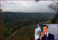 Concesión de EPN a minera en Veracruz, ha puesto en peligro a 4 mil hectáreas