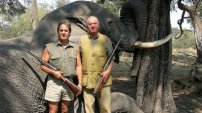 Aprueba Botsuana la caza de elefantes tras petición de cazadores fifís millonarios.
