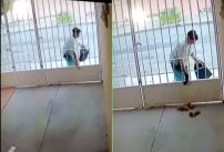 Video de una mujer tirando cachorros en un domicilio causa indignación en redes
