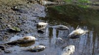 Estas son las empresas que más contaminan el agua de nuestro país.