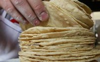 Precio de la tortilla no debe rebasar los 15.50 pesos: PROFECO