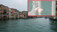 (VIDEO) Tras ausencia de HUMANOS, cientos de MEDUSAS son vistas en canales de VENECIA 