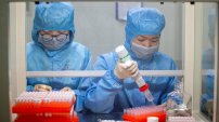 China EXPERIMENTA en MONOS con éxito vacuna contra coronavirus