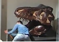 Sujeto ENTRA a museo a robar y a tomarse ¡una SELFIE! con cráneo de un dinosaurio
