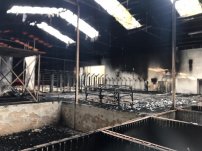 Incendio reduce a CENIZAS gimnasio donde entrenaba la clavadista Paola Espinosa