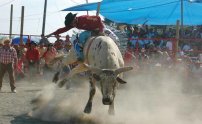 Regidor de Guerrero ORGANIZA JARIPEOS en plena PANDEMIA