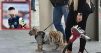 Mujer que paseó Tigre en Plaza Antara es novia de este futbolista del América