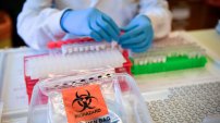 Científicos identifican virus H5N1; más peligroso y LETAL que el Covid-19