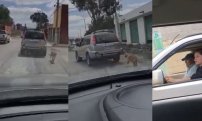 Difunden video de PAREJA que ARRASTRA un PERRO con su camioneta e indigna las redes