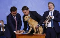 El presidente Jair Bolsonaro aprueba ley contra el maltrato animal con firma de su perro Nestor