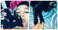 Pierde Viva Aerobus a Miel, una gatita que nunca llegó con sus dueños; redes tunden a aerolínea